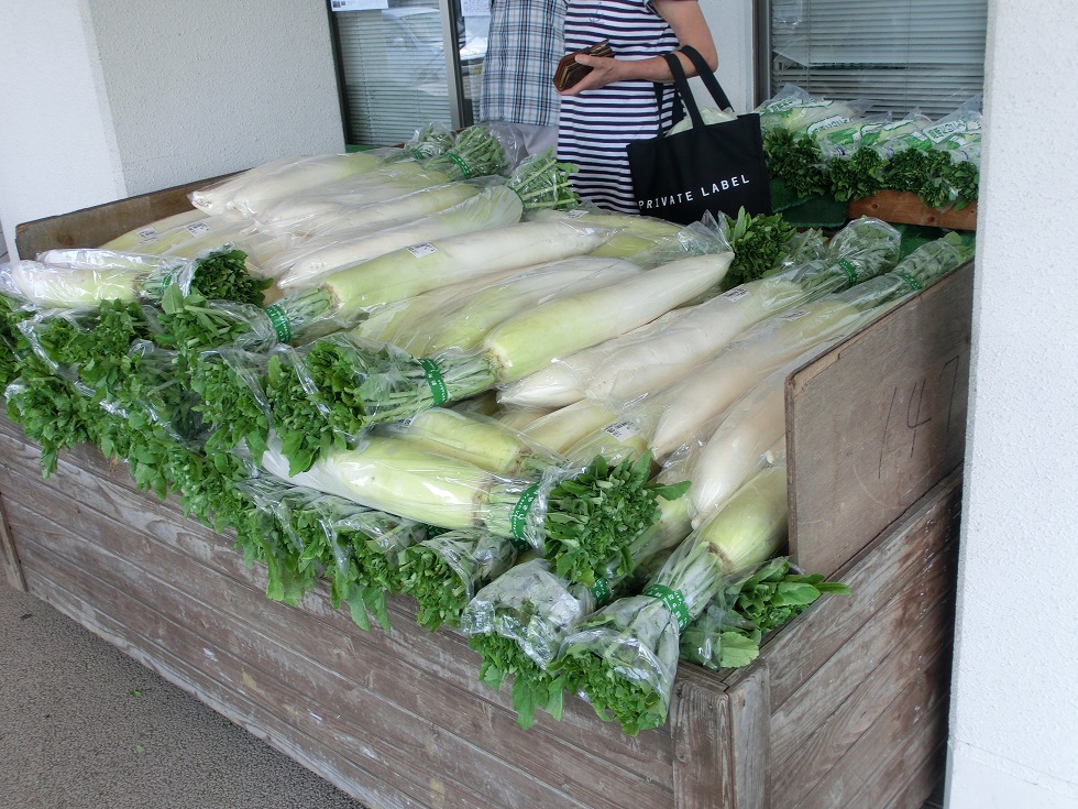 Shiobara white radish | Michinoeki Yunoka Shiobara