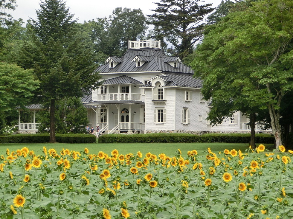 Flower garden(Sunflower) | Michinoeki Meiji no Mori Kuroiso