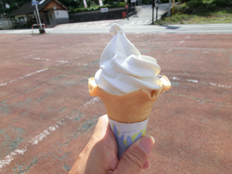 Jukkoku miso soft service ice cream | Michinoeki Ueno