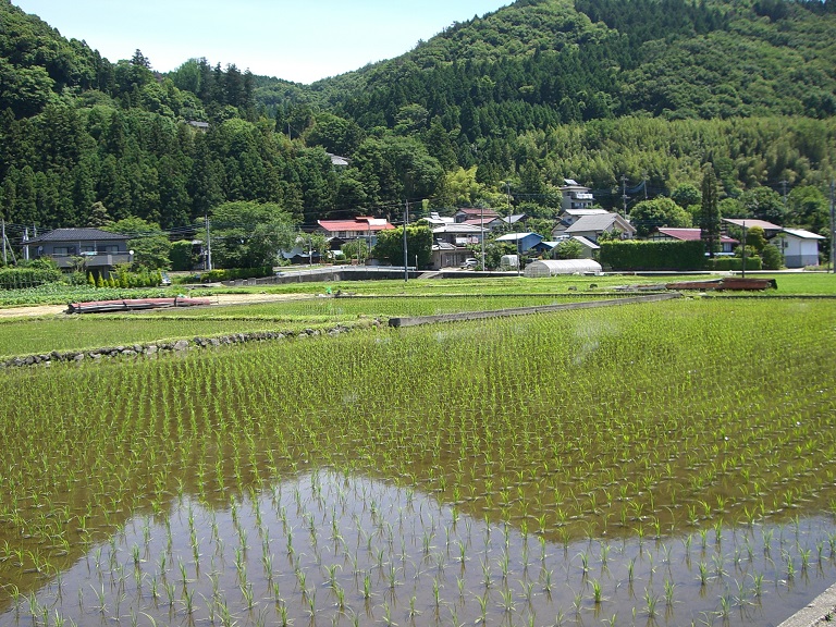 Scenery from Michinoeki Onoko