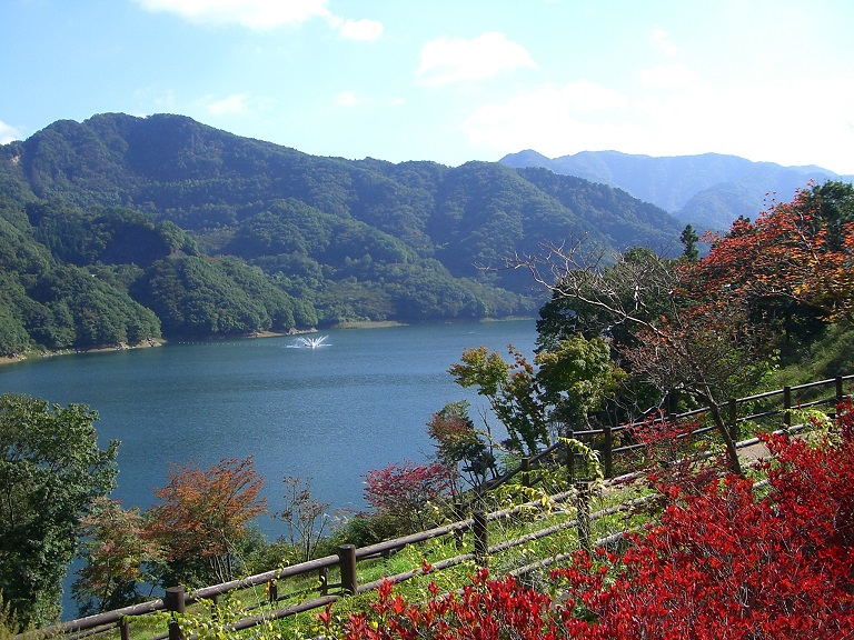 Scenery from Michinoeki Tomihirobijutsukan