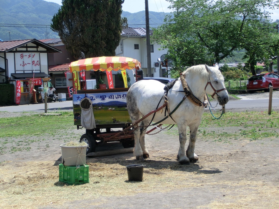 Horse-drawn carriages touring around Takumi no Sato