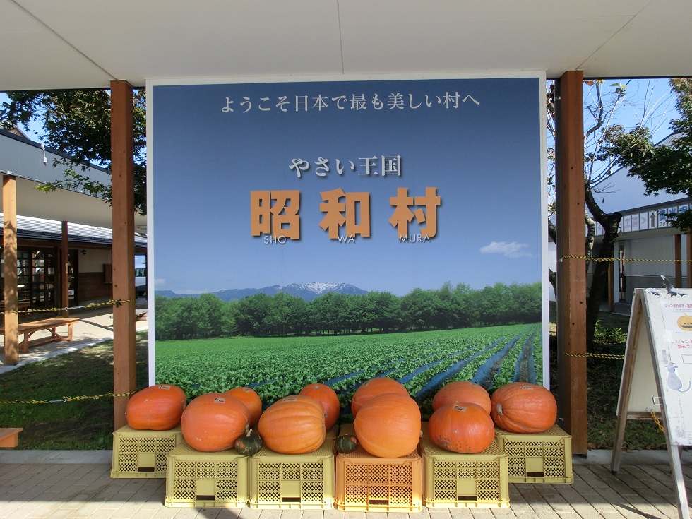 Giant pumpkin | Michinoeki Agurimu Showa