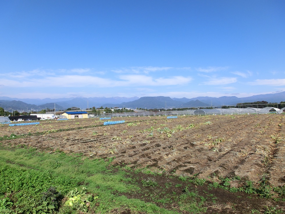 Scenery from Michinoeki Agurimu Showa