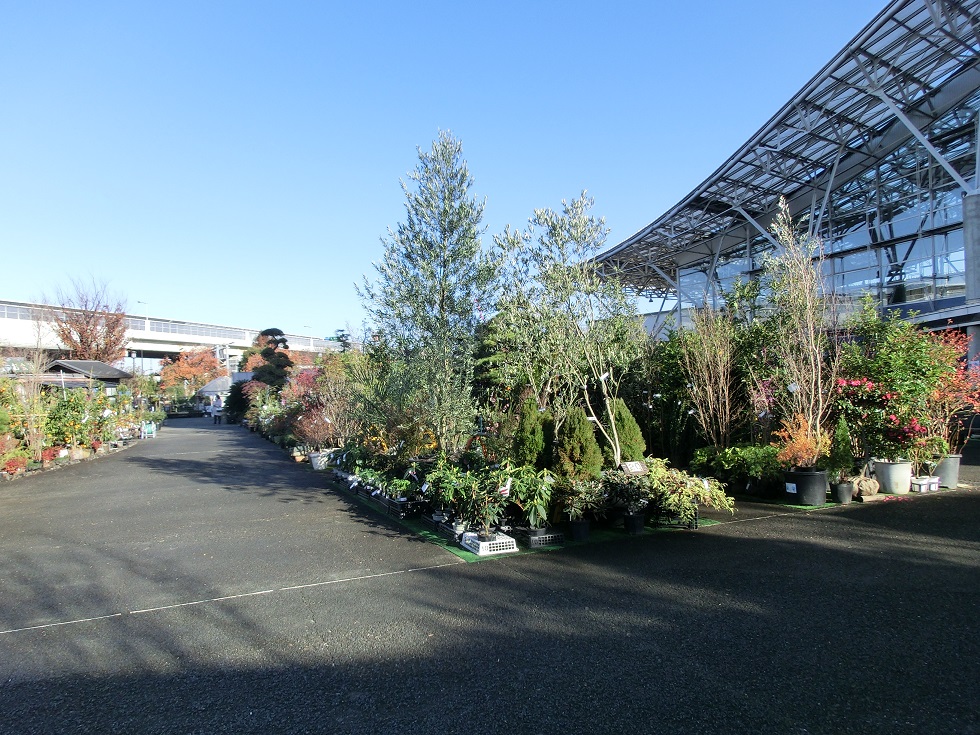 Flower and plant shop | Michinoeki Kawaguchi-Angyo