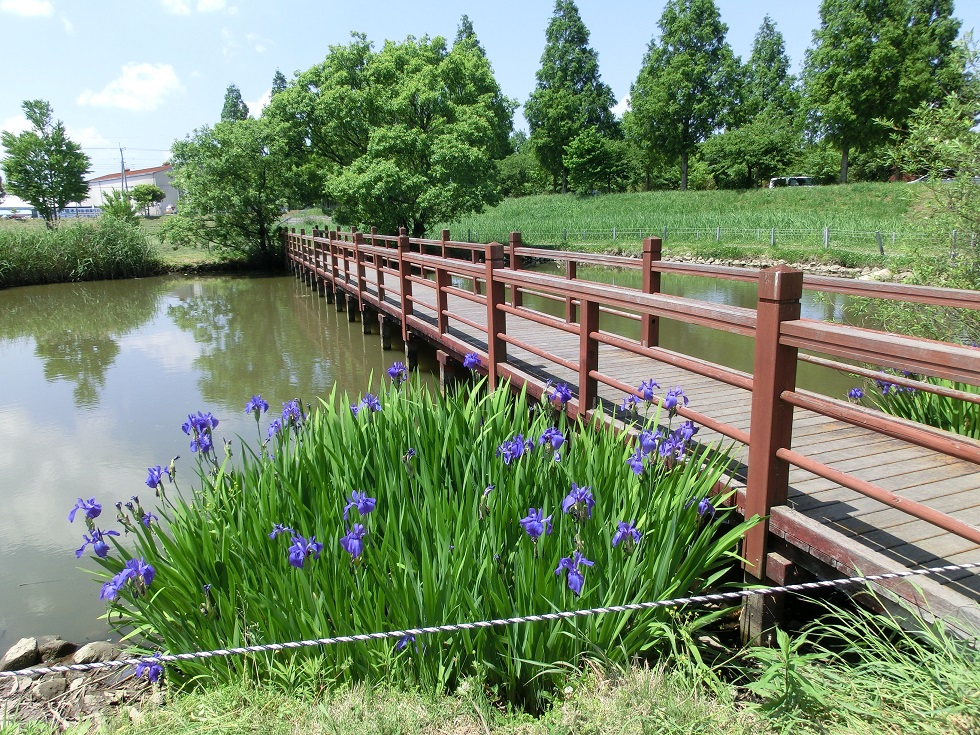 Agricultural park | Michinoeki Agricultural Park Yume Sugito