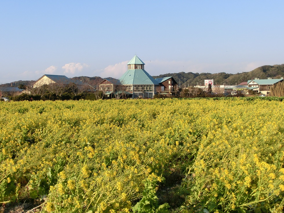 Scenery from Michinoeki Tomiura