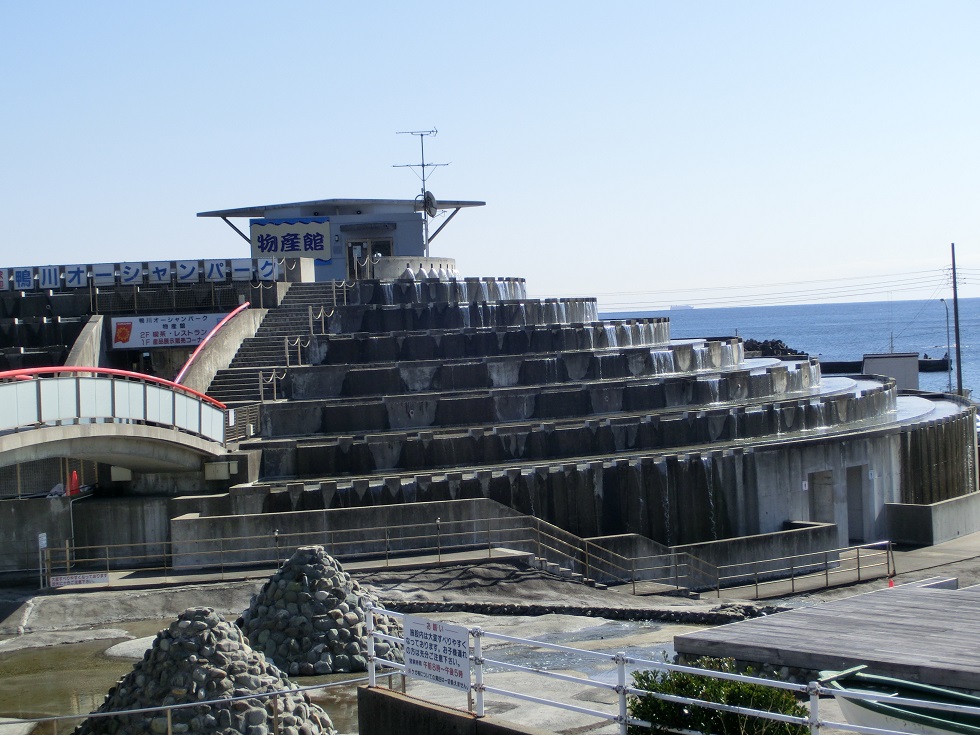 Michinoeki facilities | Kamogawa Ocean Park