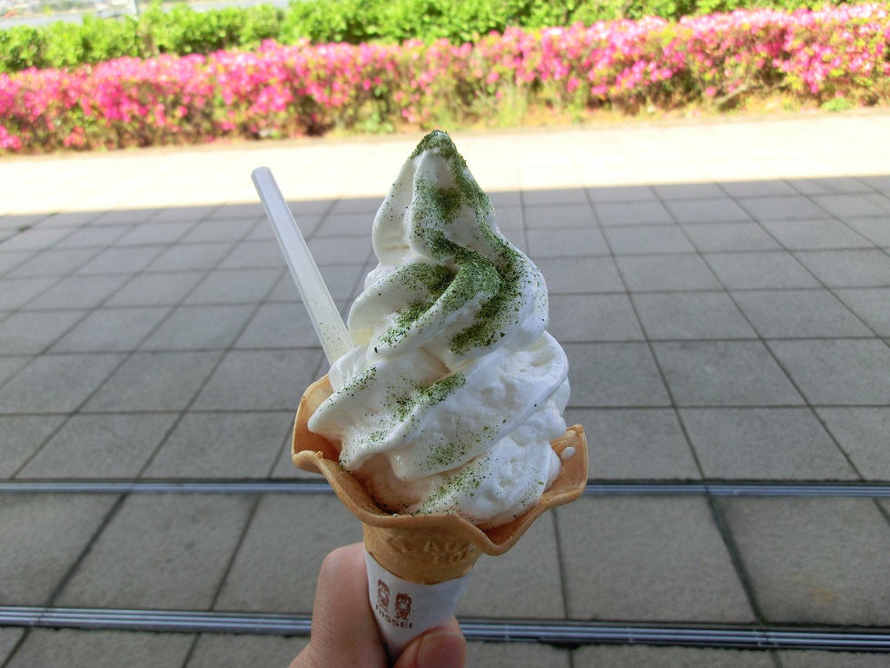 Turnip soft service ice cream | Michinoeki Shonan