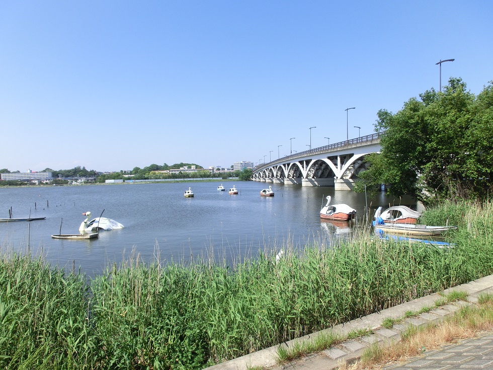 Scenery from Michinoeki Shonan