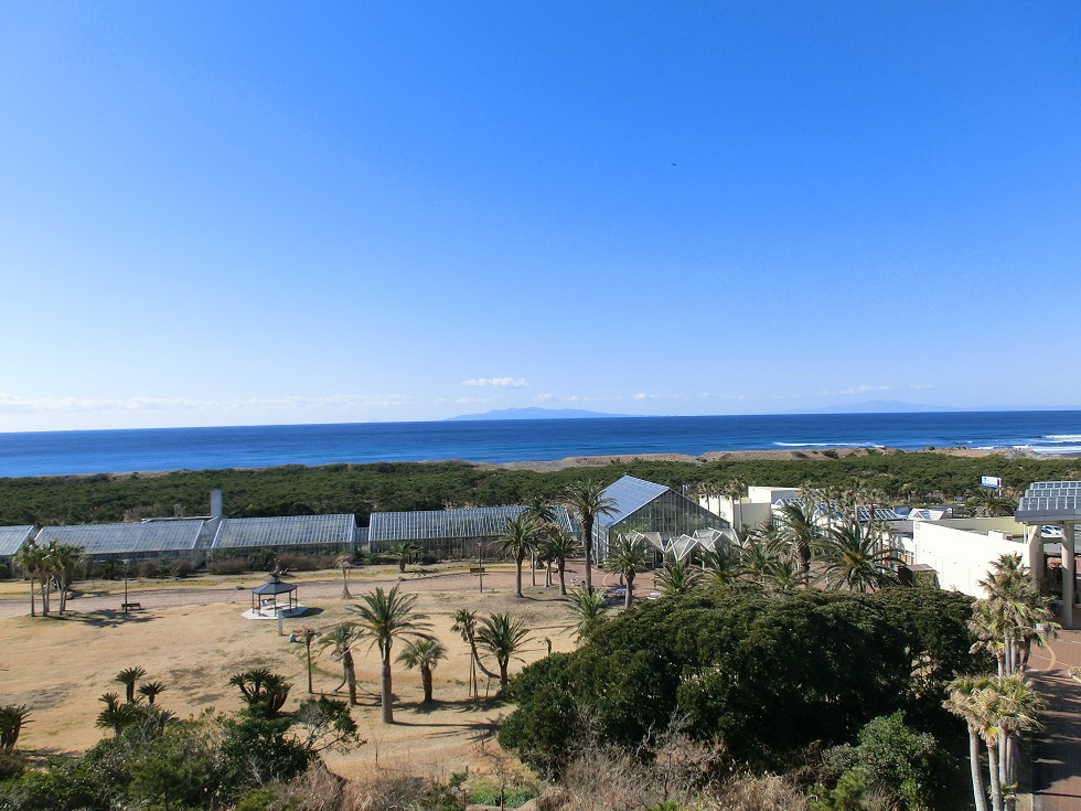 View from Aloha tower | Aloha Garden Tateyama