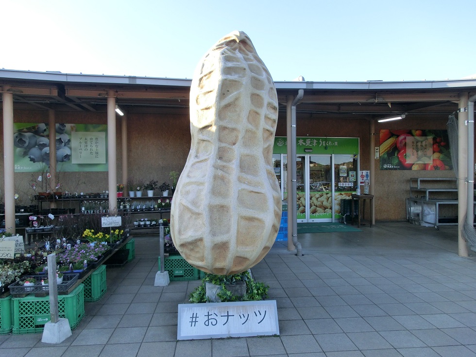 Peanut monument | Michinoeki Kisarazu Umakuta-no-sato