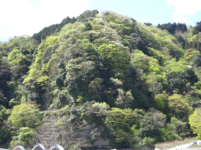 Scenery from Michinoeki Yamakita