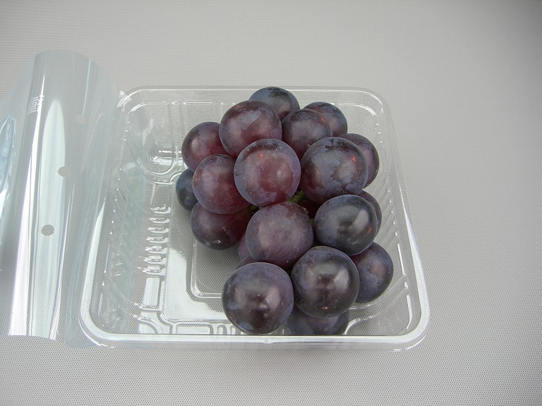 Kyoho grape | Michinoeki Hanakage no Sato Makioka