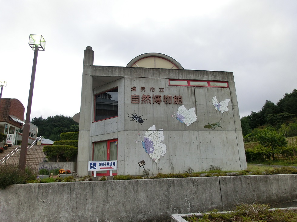 Butterfly museum | Michinoeki Osakadakoen