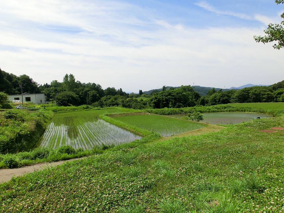 Scenery from Michinoeki Furusato Toyota