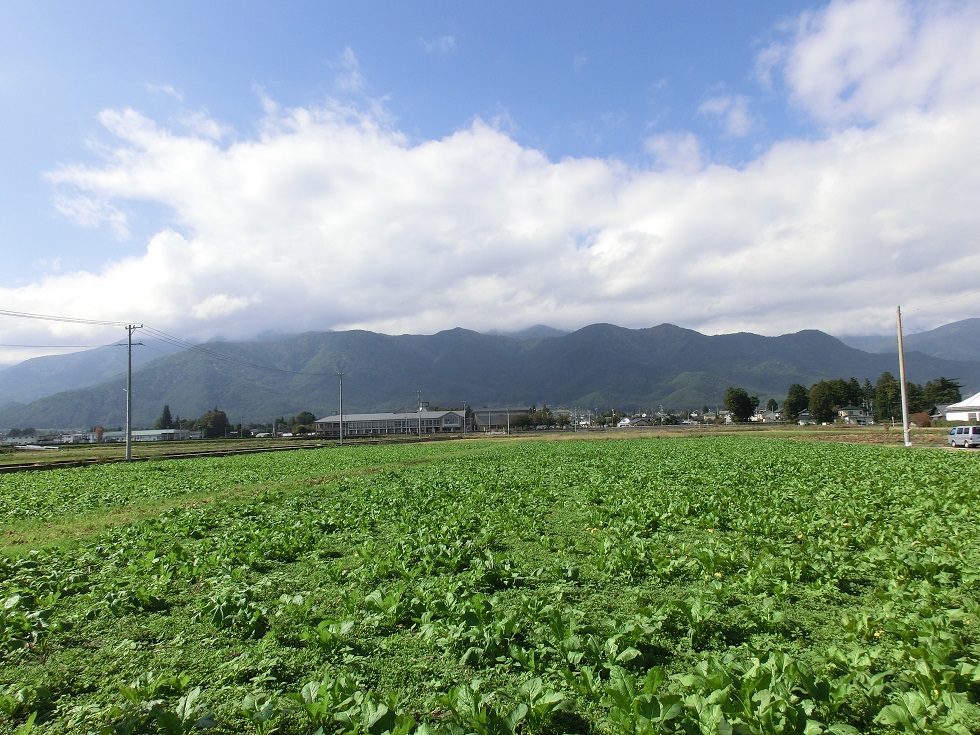 Scenery frpm Michinoeki Alps Azumino Horigane no Sato