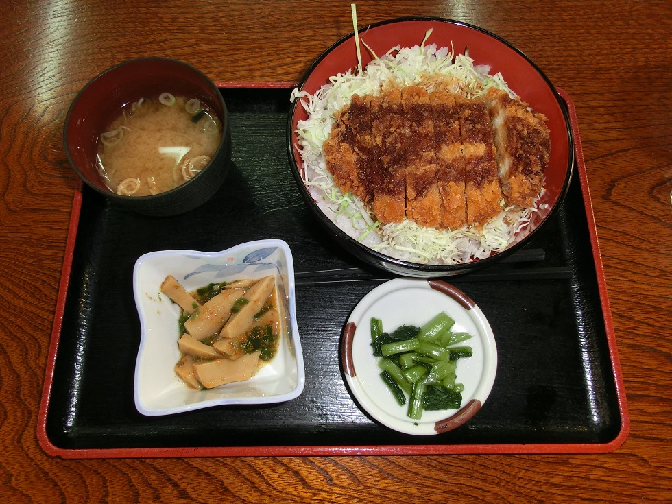 Sauce Katsudon | Michinoeki Shinshuhiraya