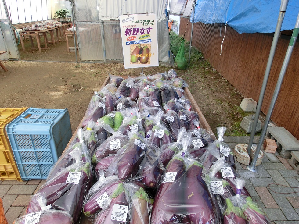 Niino Eggplant |  Michinoeki Shinshuniinosengokudaira