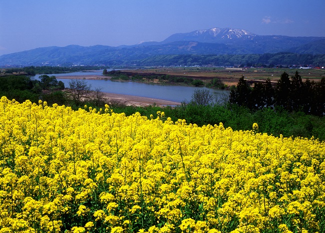 Scenery from Michinoeki Hananoeki Chikumagawa