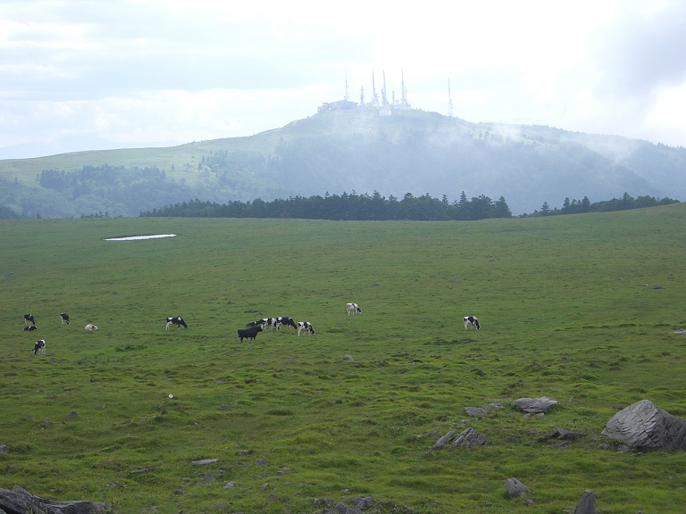 From way to the summit | Michinoeki Utsukushigahara Open-Air Museum