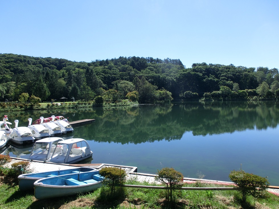 Scenery from Michinoeki Venus Line Tateshinako