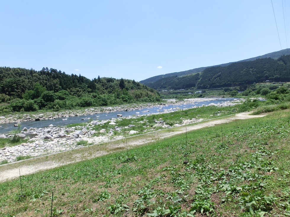 Scenery from Michinoeki Kirira Sakashita