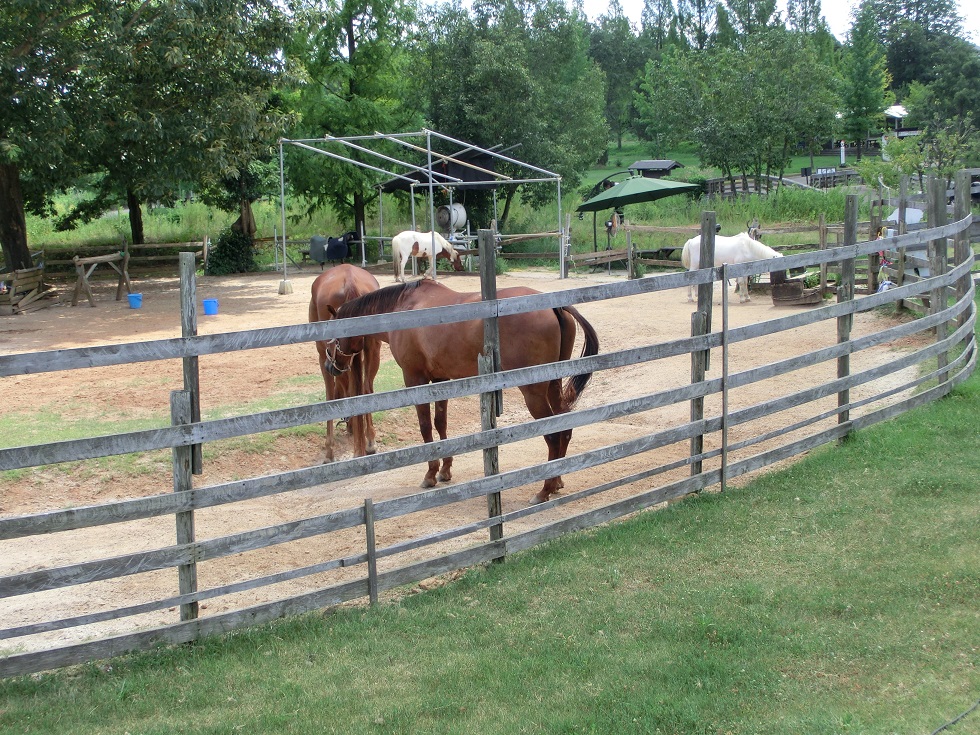 Horseback Riding Facilities | Michinoeki Minokamo