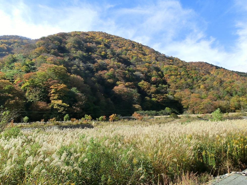 Yashagaike trailhead | Michinoeki Yashagaikenosato Sakauchi