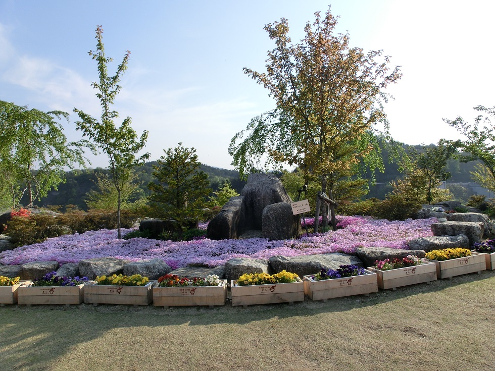 Moss phlox | Michinoeki Obaachan-ichi Yamaoka