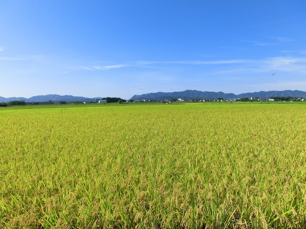 Scenery from Michinoeki Hanyuri no Sato Tomika