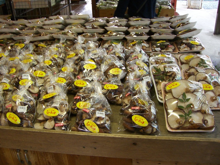 Shiitake mushroom | Ippukutokoro Yokokawa