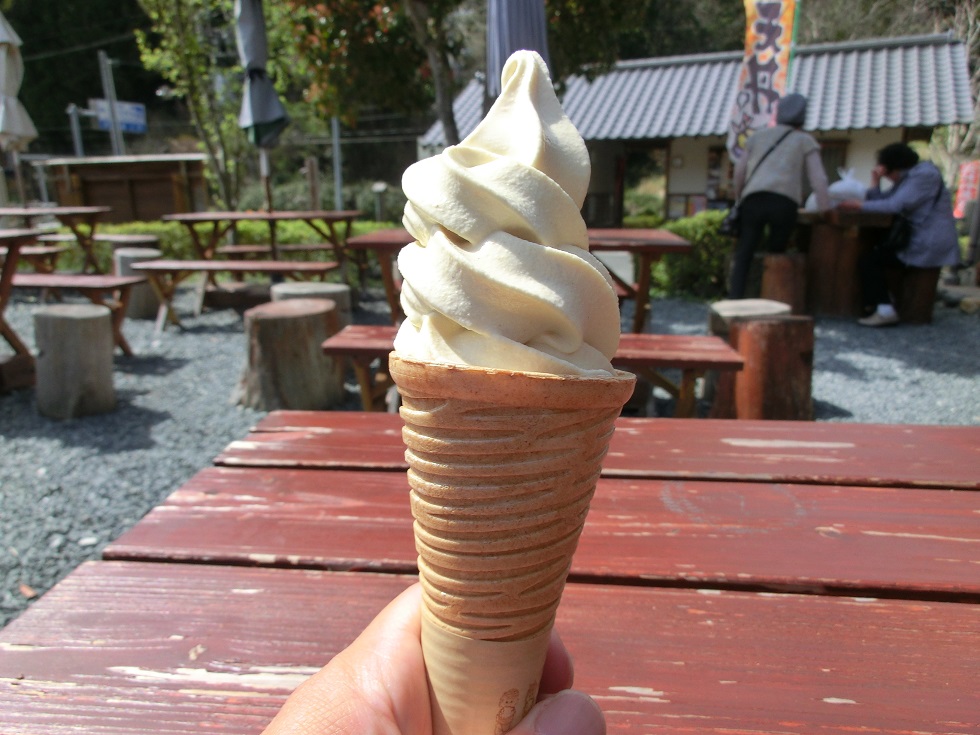 Shiitake mushroom soft service ice cream | Michinoeki Ippukutokoro Yokokawa