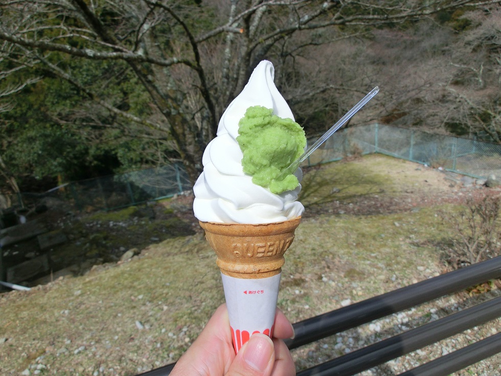 Wasabi soft service ice cream | Michinoeki Amagi-goe