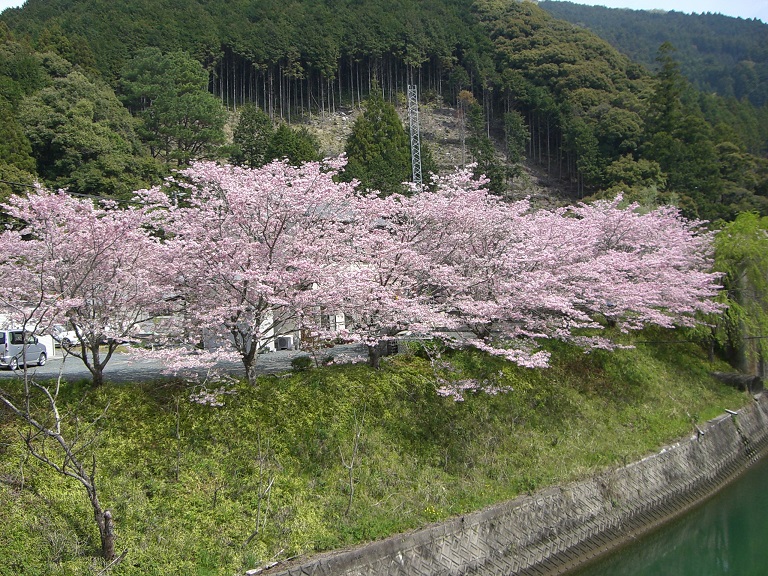 Scenery from Michinoeki Tenryu Sozu Hanamomo no Sato