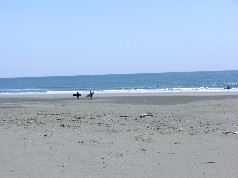 Surfing Point | Michinoeki Akabane Loco Station