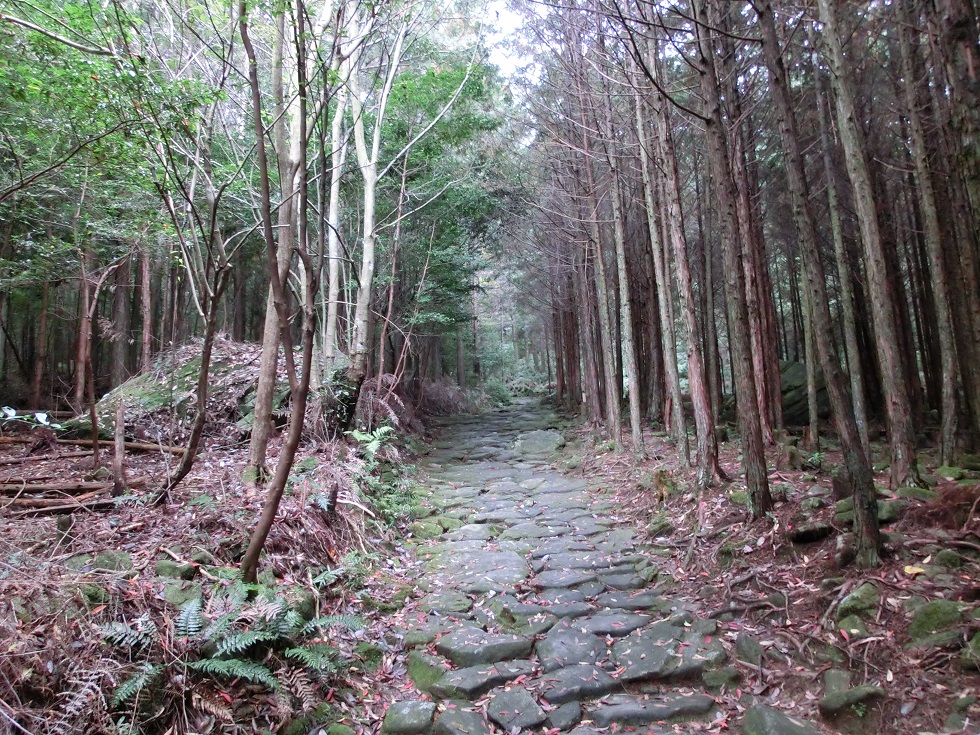 Kumano kodo | series of stone-paved paths | Michinoeki Miyama