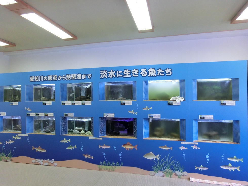 Mini aquarium | Michinoeki Okueigenji Keiryu no sato