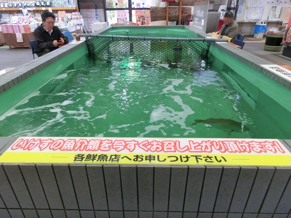 Ikesu(Fish tank) | Michinoeki Maizuru Port Toretore Center