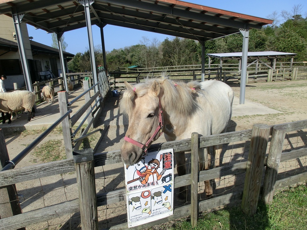 Animal Farm | Michinoeki Tangooukoku Shoku-no-miyako