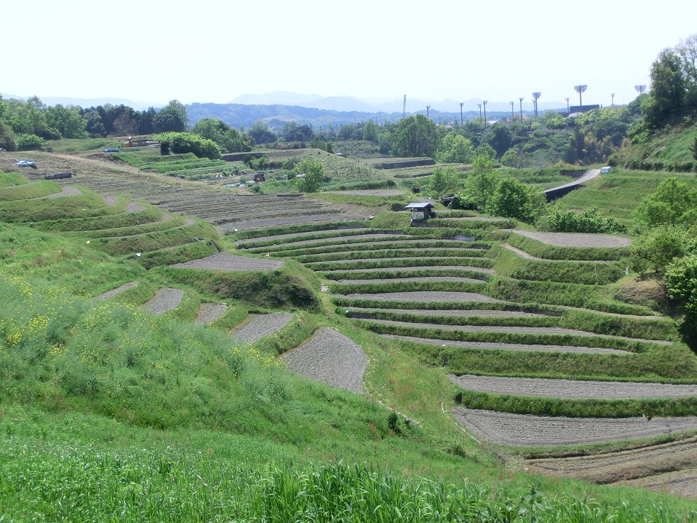 Shimoakasaka Terrace Field  | Michinoeki Chihayaakasaka