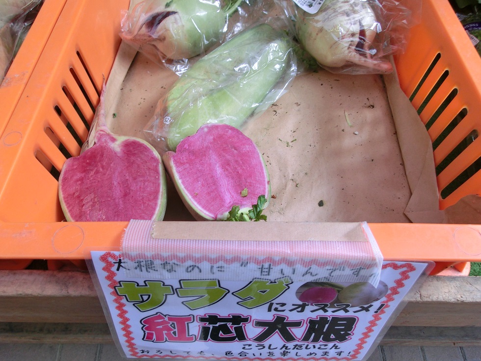 Red Core Radish | Michinoeki Kanan