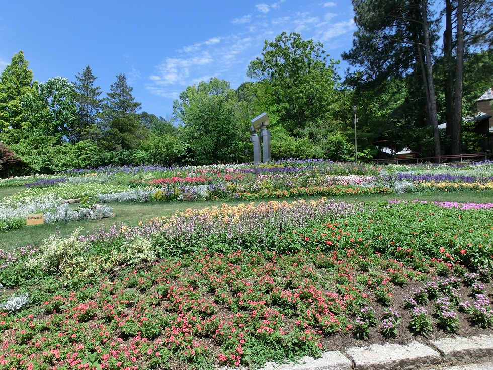 Osaka prefecture Flower Garden | Michinoeki Okukawachi Kuromaronosato